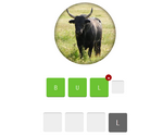 Animal Quiz