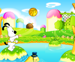 Basket Chien