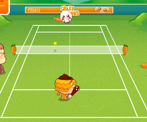 Crazy Tennis