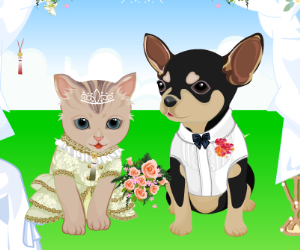 Pet Wedding Dress Up