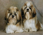 Puzzle Chien