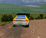 Rally Stage